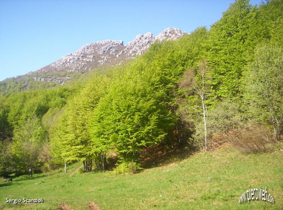 04 verso il bosco.JPG